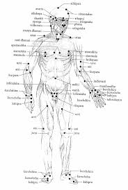 Human Body Vital Point Chart For Reflexology Best Body