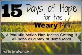 realistic action plan for stay at home moms