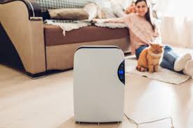 Eco Friendly S For Perfect Home Air