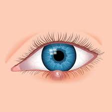 eye ulcer treatment corneal ulcer surgery