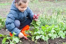 kid friendly garden crops to plant in