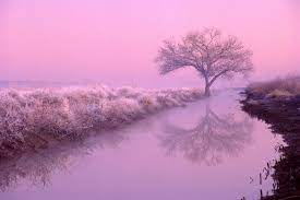 pink aesthetic landscape wallpapers