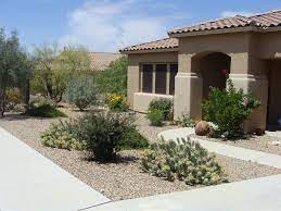Colorful Desert Courtyard Landscaping