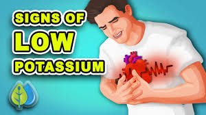 top 10 symptoms of low potium you