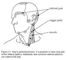 Professional Continuing Education New Day Myopain Center