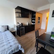 furnished studio apartment for