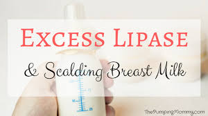excess lipase and scalding tmilk