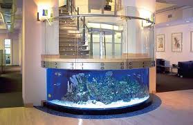 Custom Aquariums – House of Fins gambar png