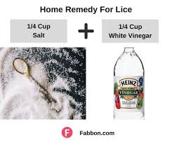 home remes for lice