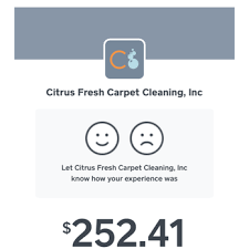 citrus fresh carpet cleaning 81