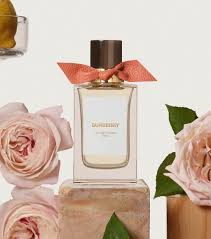 nước hoa uni burberry garden roses 20