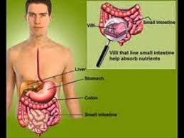 Celic Disease 2 Health Education Infection Control Urdu