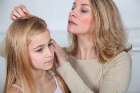 lice treatment and lice removal