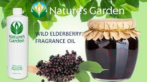 Wild Elderberry Fragrance Oil Natures