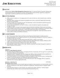 The Objective On A Resume   haadyaooverbayresort com Resume Resume Objective Examples Sales Representative objective statement  for sales resume goals examples sales