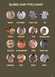 free blonde hair types chart