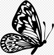 Three butterflies, butterfly, butterfly, butterfly group, insects png. Flying Butterfly Outline Clipart Flying Butterfly Clipart Black And White Png Image With Transparent Background Toppng