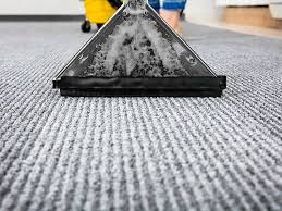 carpet dry cleaning cleaning services