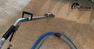 clean your carpet why steam cleaning