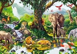 ¿qué sabes sobre la biodiversidad? 10 Ejemplos De Biodiversidad Y Definicion Yavendras