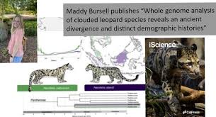 maddy bursell publishes whole genome