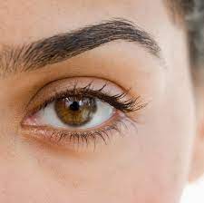 eyelid dermais what doctors need