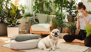 13 Dog Safe Plants For Your Home Or