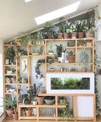 Plant Shelf Ideas 35 Creative Ways To