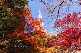 東京タワーと紅葉 写真素材 [ 6694724 ] - フォトライブラリー photolibrary