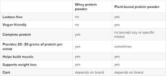 plant based protein vs whey protein