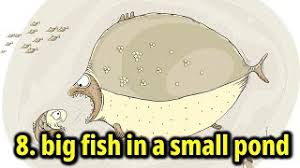 english idioms 8 big fish in a small