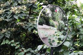 Can Garden Mirrors Cause Fires The