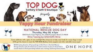 Rescue dogs can even be trained to rescue us from dangerous situations or help to look into the cause of a fire. National Rescue Dog Day Yappy Hour Top Dog Barkery Huntington Beach 20 May 2021
