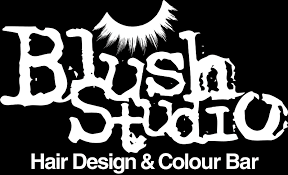blush studio hair salon springfield mo