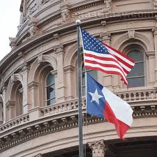 Texas Flag Indoor Outdoor