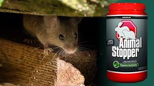 get rid of mice in the garden
