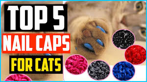 top 5 best nail caps for cats review