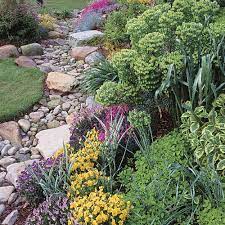 Dry Stream Does Double Duty Finegardening