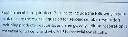 Solved Explain Aerobic Respiration Be