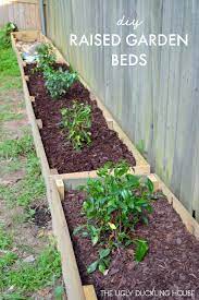 Diy Raised Garden Beds