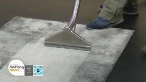 summer carpet cleaning with zerorez