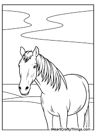 A foal and the butterfly. Realistic Horse Coloring Pages Updated 2021