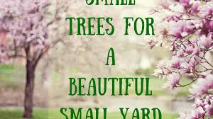 39 small trees under 30 feet for a