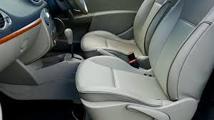 Cloth Or Leather Seats With A Dog
