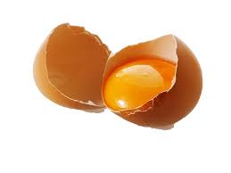 Image result for free images cracked egg