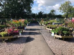 torbay otter garden centres