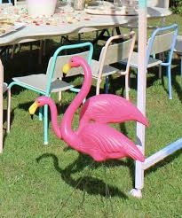 Pink Flamingoes For Hire For Your Party