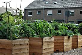 How To Build Raised Bed Garden From