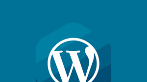 wordpress com vs wordpress org key