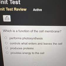 function of the cell membrane